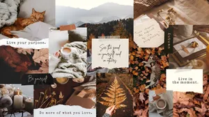 Cozy Autumn Vibes Wallpaper
