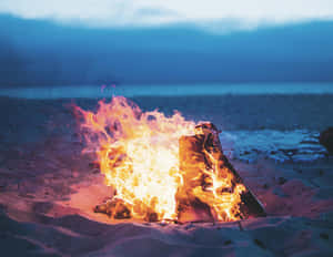 Cozy Beach Campfire Wallpaper