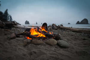 Cozy Beach Campfire Under The Stars Wallpaper