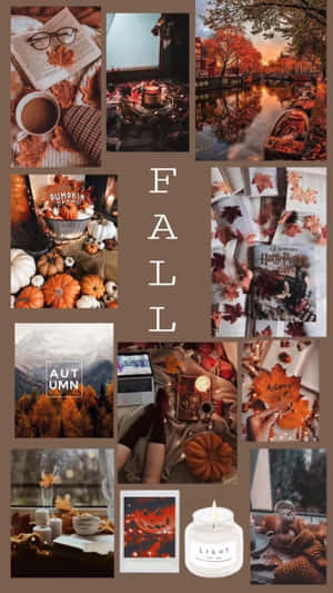 Cozy Fall Aesthetic Collage Wallpaper