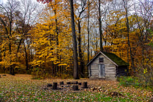 Cozy Fall Cabin In A Scenic Autumn Forest Wallpaper