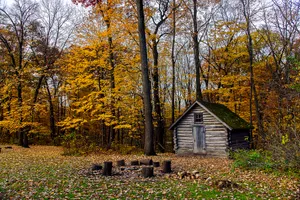 Cozy Fall Cabin In A Scenic Autumn Forest Wallpaper