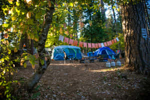Cozy Fall Camping By The Lake Wallpaper