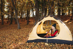 Cozy Fall Camping In The Forest Wallpaper