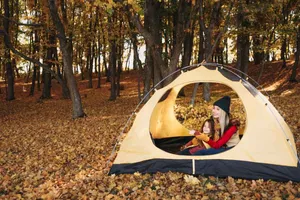 Cozy Fall Camping In The Forest Wallpaper