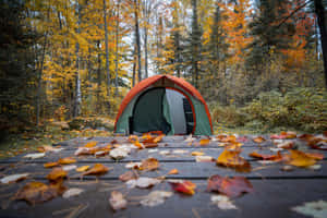 Cozy Fall Camping Scene Wallpaper
