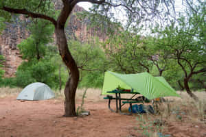 Cozy Fall Camping Trip Wallpaper