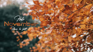 Cozy Fall Feelings Wallpaper