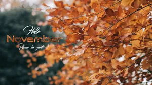 Cozy Fall Feelings Wallpaper