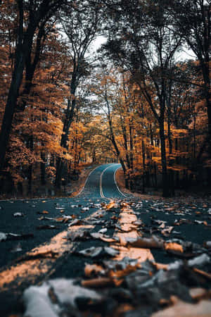 Cozy Road Iphone Wallpaper