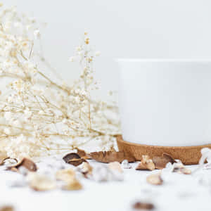 Cozy Winter Aesthetic Scented Candle And Dried Flower Wallpaper
