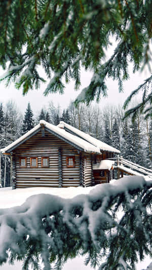 Cozy Winter Cabin Nestled In Snowy Forest Wallpaper