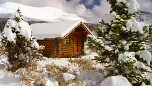 Cozy Winter Cabin Surrounded By Snowy Forest Wallpaper