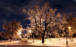 Cozy Winter Night With Beautiful Cottage Wallpaper