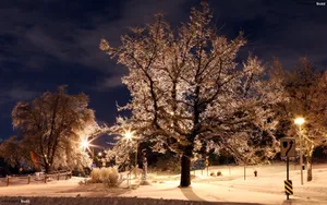 Cozy Winter Night With Beautiful Cottage Wallpaper