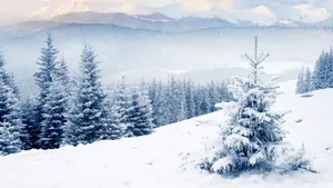 Cozy Winter Wonders Wallpaper