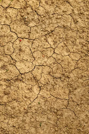 Cracked Dry Mud Soil Texture Wallpaper