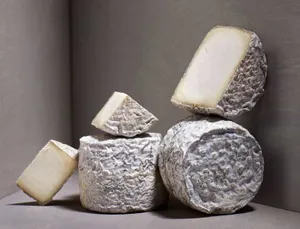 Creamy And Aromatic Blue Cheese Wallpaper