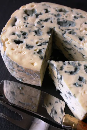 Creamy Blue Cheese Close Up Wallpaper