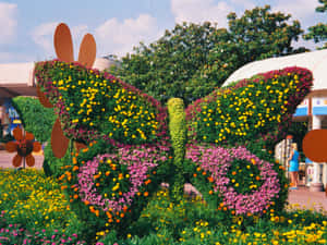 Create A Stunning Garden With Butterfly Garden Plants Wallpaper