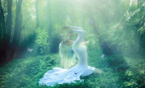 Create Harmony In Your Life Wallpaper