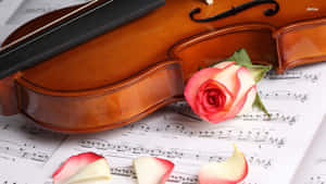 Creating Musical Art With A Beautiful Violin. Wallpaper