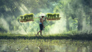 Creative Cool Farming Connects Us To Our Roots Wallpaper