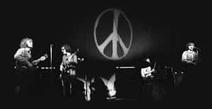 Creedence Clearwater Revival Peace Concert Performance Wallpaper