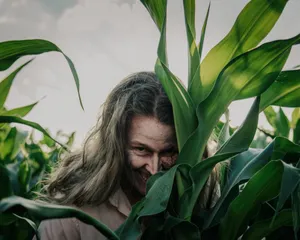 Creepy Figurein Cornfield.jpg Wallpaper