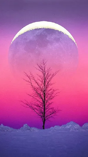 Crescent Moon Over Solitary Tree Wallpaper