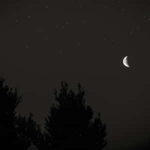 Crescent Moonand Starry Sky Wallpaper