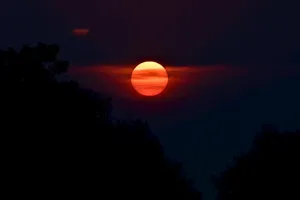 Crimson Moonrise Silhouette Wallpaper