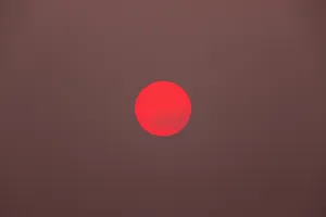 Crimson Sphere Against Brown Backdrop Wallpaper