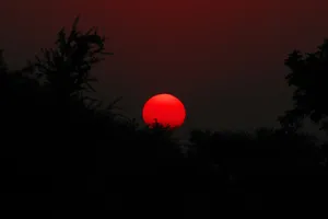 Crimson Sunset Silhouette Wallpaper