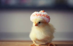 Crochet Chick Wallpaper