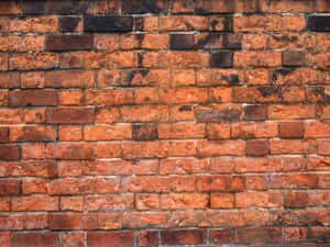 Crusty Brown Bricks Wallpaper