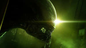Cryptic Alien Invasion Wallpaper