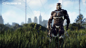 Crysis 3 Nanosuit On Grass 4k Wallpaper