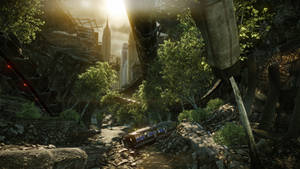 Crysis Warhead Plants Wallpaper