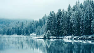 Crystal Clear Lake On A Cozy Winter Day Wallpaper