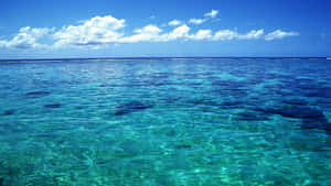 Crystal_ Clear_ Ocean_ View.jpg Wallpaper