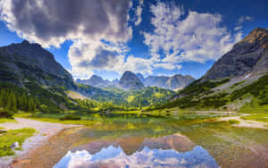 Crystal Clear Spring Water Flowing Through Lush Green Forest Wallpaper