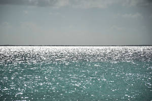 Crystal Water Beach In Venezuela Wallpaper