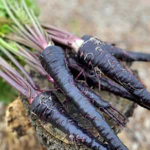 Cultivating Purple Carrots Wallpaper