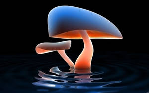 Cute 3d Mushroom Render Wallpaper