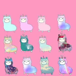 Cute Aesthetic Llama Patterns Wallpaper