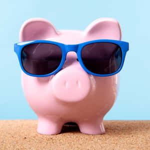 Cute And Cool Piggy Wallpaper