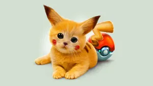 Cute And Cuddly Pikachu Cat Wallpaper