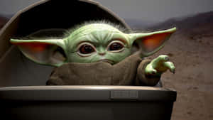 Cute And Mischievous, Baby Yoda Is Your New Favorite Character Wallpaper