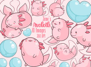 Cute Axolotl Animals Doodle Art Wallpaper